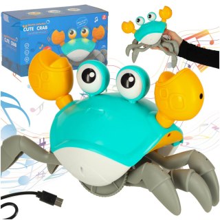 Krab pełzający interaktywny z dźwiękiem zielony